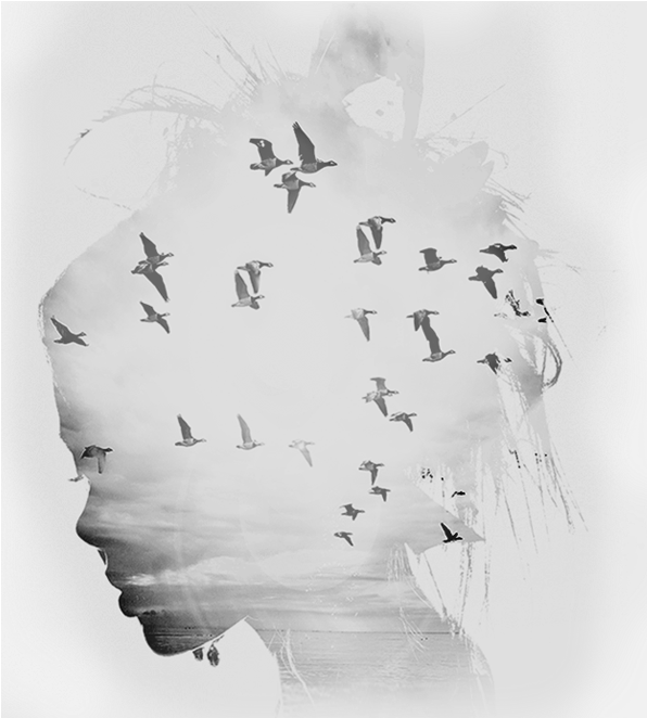 Web Design Penrith - Eberhard Rink: Befreit Durch Deine Gnade Cd (630x672), Png Download