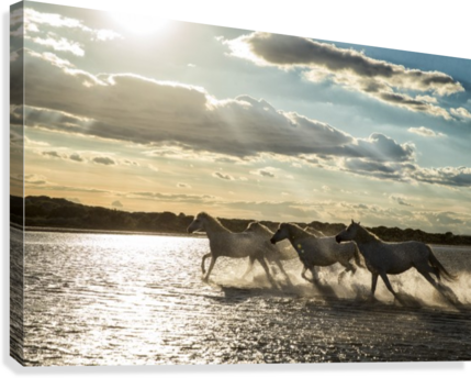 Sea Splash Canvas Print - Stallion (429x344), Png Download