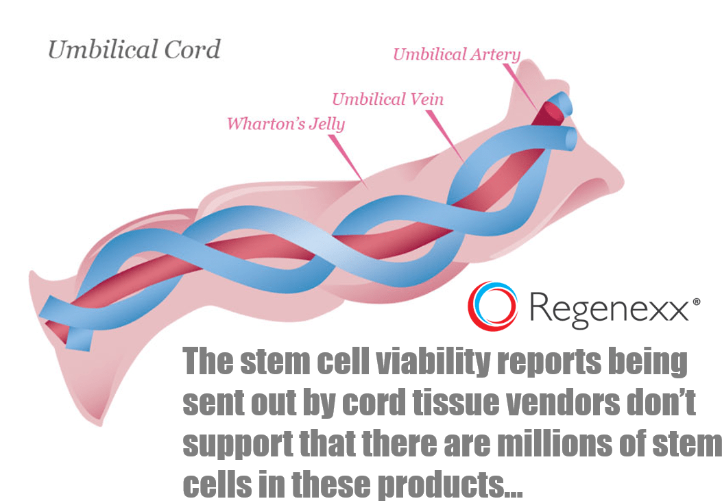 How To Interpret Cell Viability Studies Used By Amnio - Umbilical Cord (1093x765), Png Download