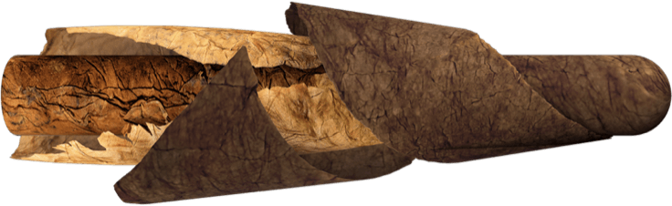 Anatomy Of Cigars - Tobacco Leaf Wrapped (736x226), Png Download
