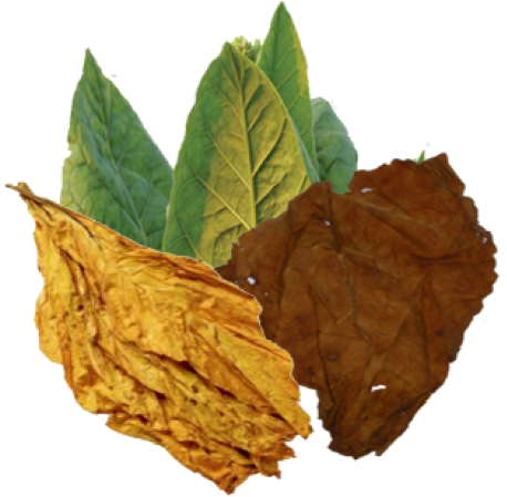 Tobacco Blend Png (500x500), Png Download