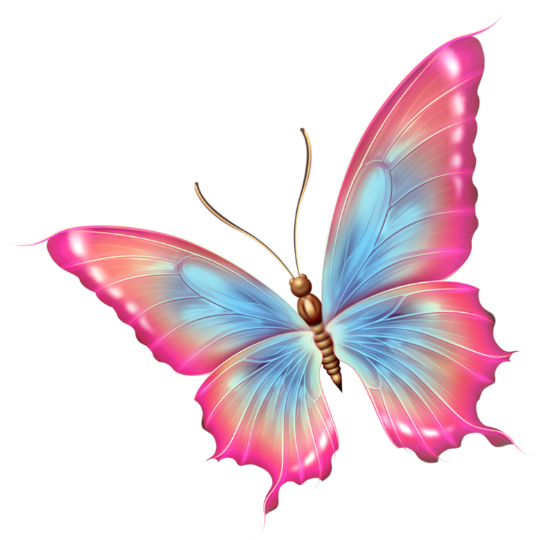 Papillons - Pink And Blue Butterfly Png (466x455), Png Download