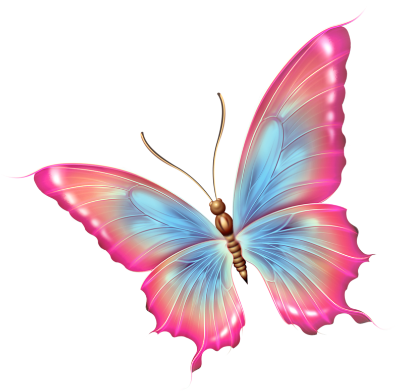 Download Papillons Pink And Blue Butterfly Png PNG Image with No