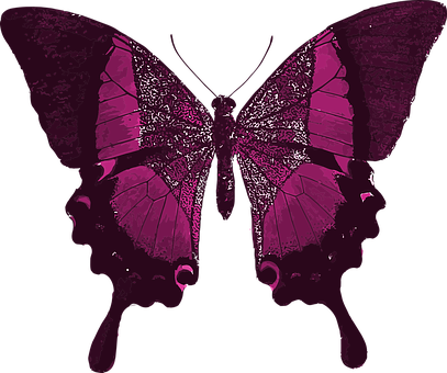 Pink Butterfly Colorful Pretty Animal Inse - Your Time As A Caterpillar Has Expired Quote (407x340), Png Download
