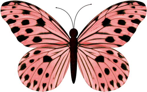 Pink Butterflies - Thank You Mother Card (500x315), Png Download
