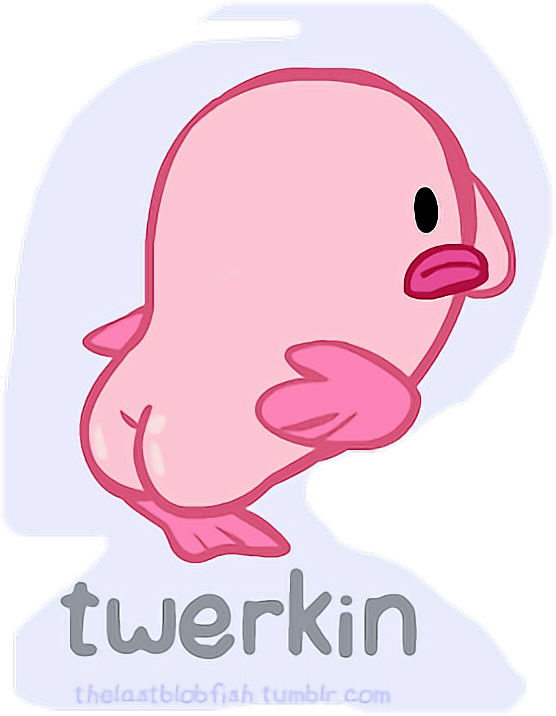 Report Abuse - Blobfish Gifs (556x716), Png Download
