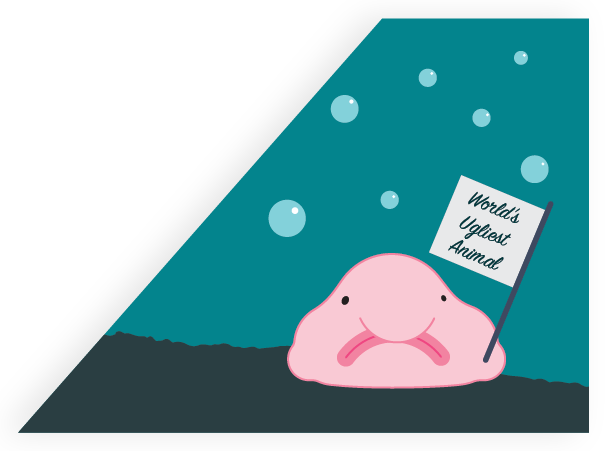 Worldwide Media Coverage Led To The Blobfish Rising (607x451), Png Download