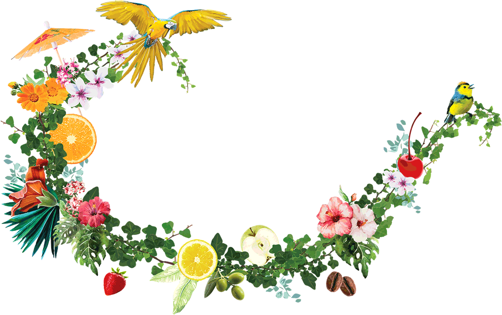 Brisbane (1000x631), Png Download