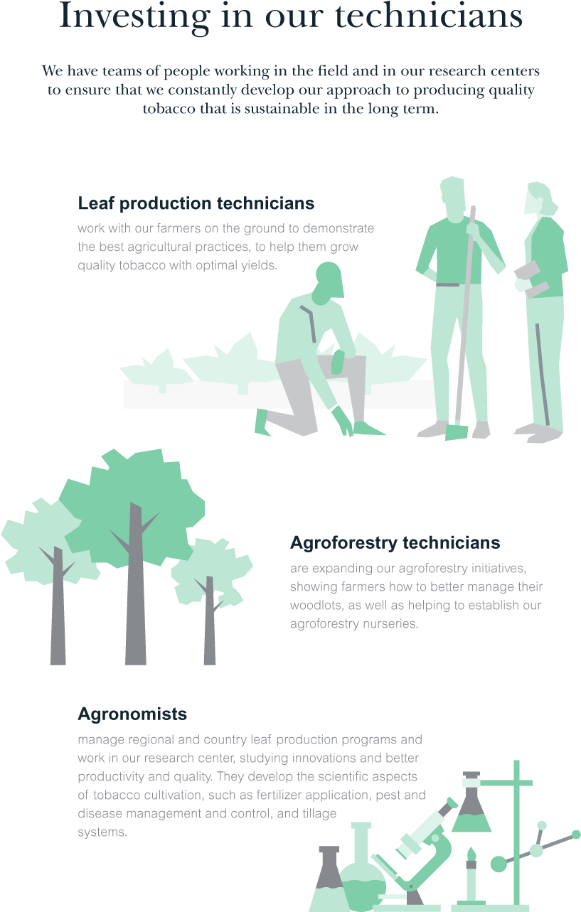 Creating Careers, Not Merely Jobs - Flyer (1400x1571), Png Download