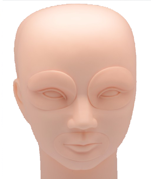 Mannequin Head - Head (513x605), Png Download