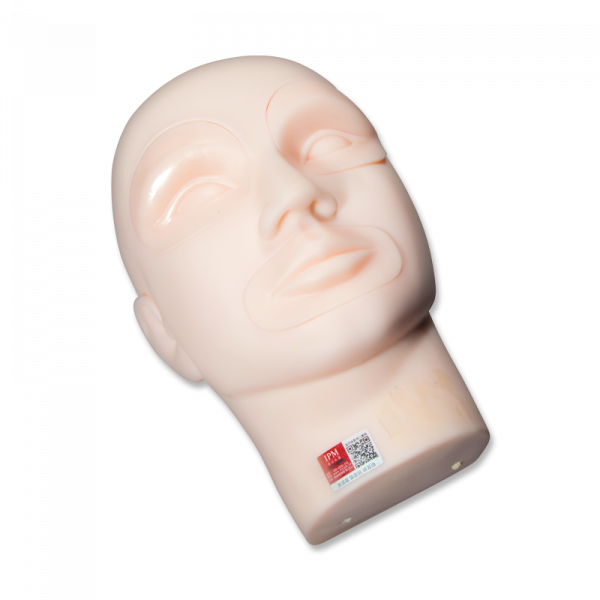 Practice Mannequin Head With Inserts - Head (600x600), Png Download