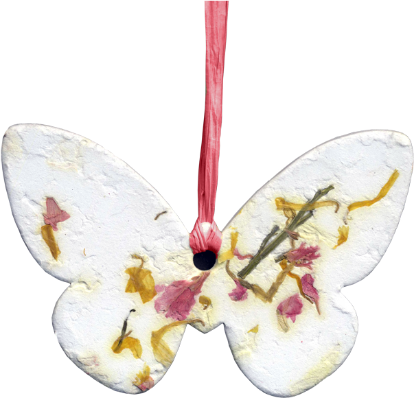 Butterfly Wildflower Me Not Blooming Ornaments - Pieridae (800x633), Png Download