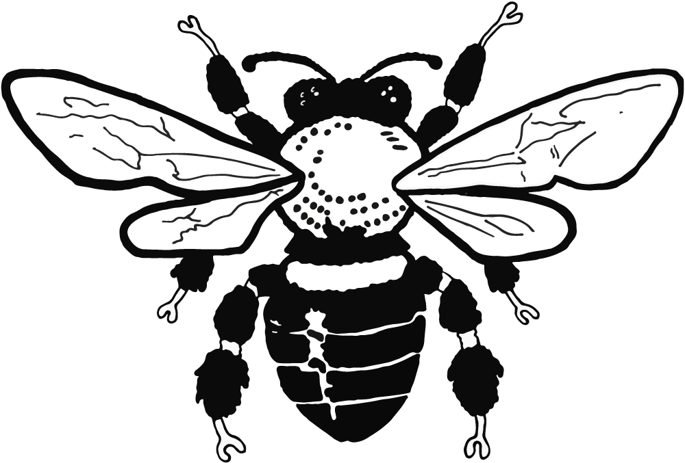 Barth Ny X Snoop Dogg Smoking Series Sock - Beekeeping (1000x677), Png Download