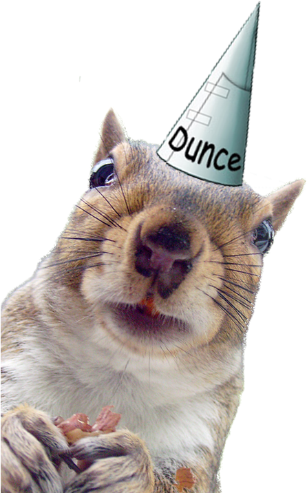 Squirrel - Dunce Cap (618x742), Png Download