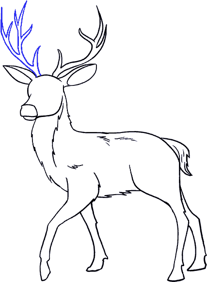 Drawing (678x600), Png Download