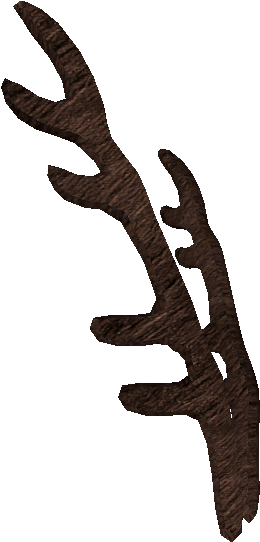 Xl9up1c ] - Kühlwasserschlauch (1132x779), Png Download