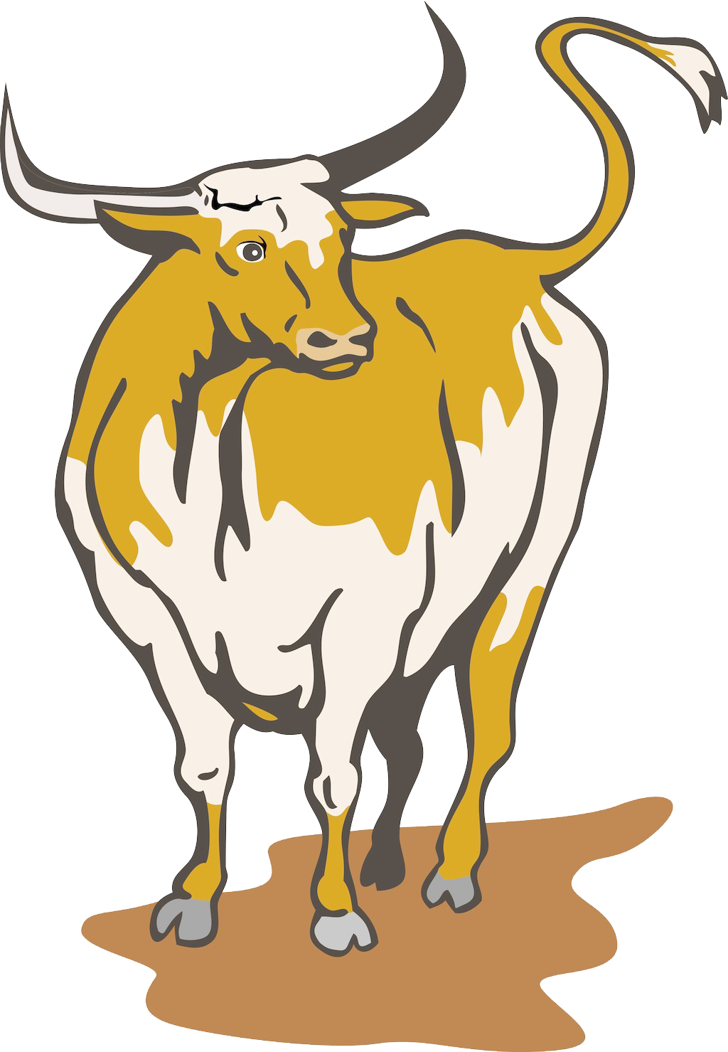 Clip Art Download Longhorn English Royalty Free Clip - Cattle (1024x1479), Png Download