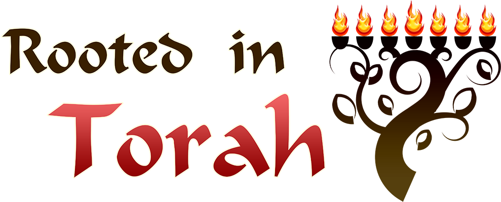 Website Has Changed To Faithofmessiah - Yeshua Torah Teacher (1538x400), Png Download