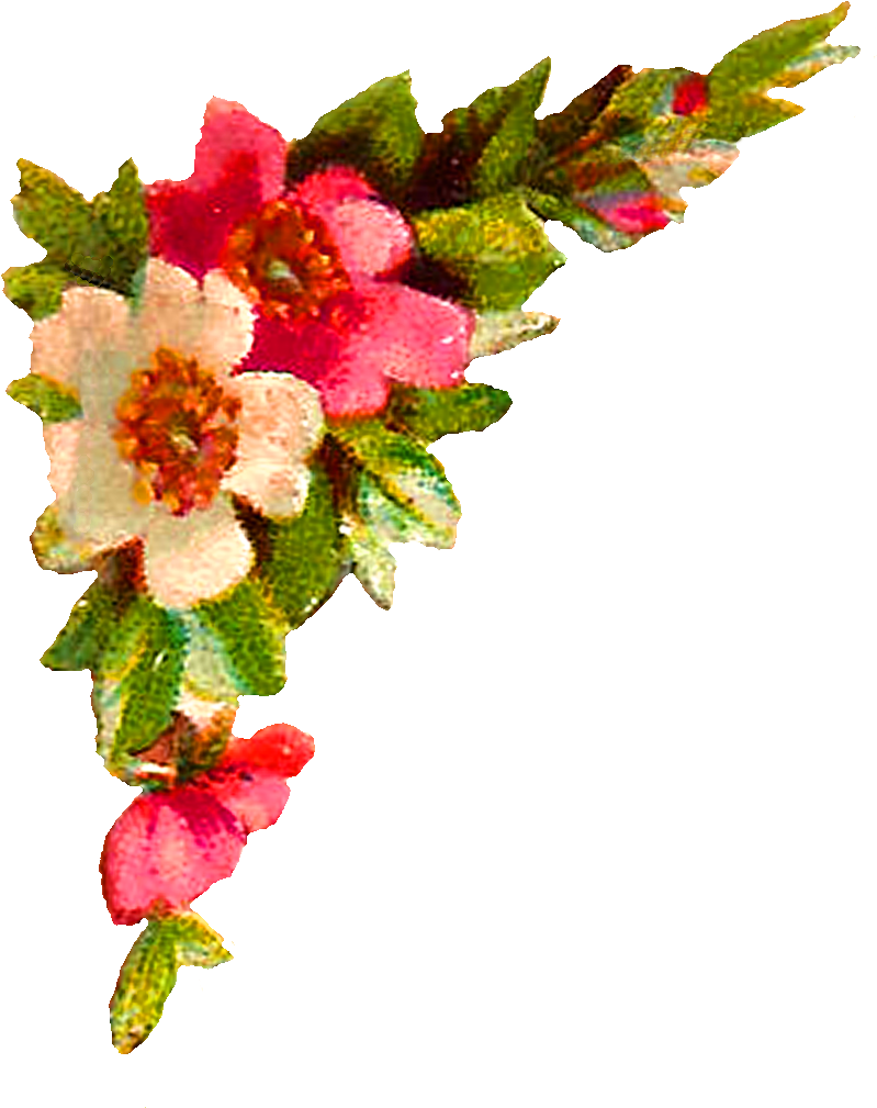 Antique Images Digital Roses - Wazifa For Quick Marriage Proposal (955x1239), Png Download