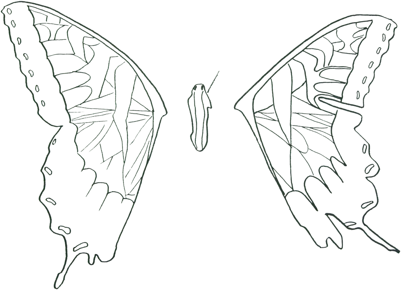 Brand New Eyes Poster Hayley Williams Transprent - Paramore Brand New Eyes (1600x1200), Png Download