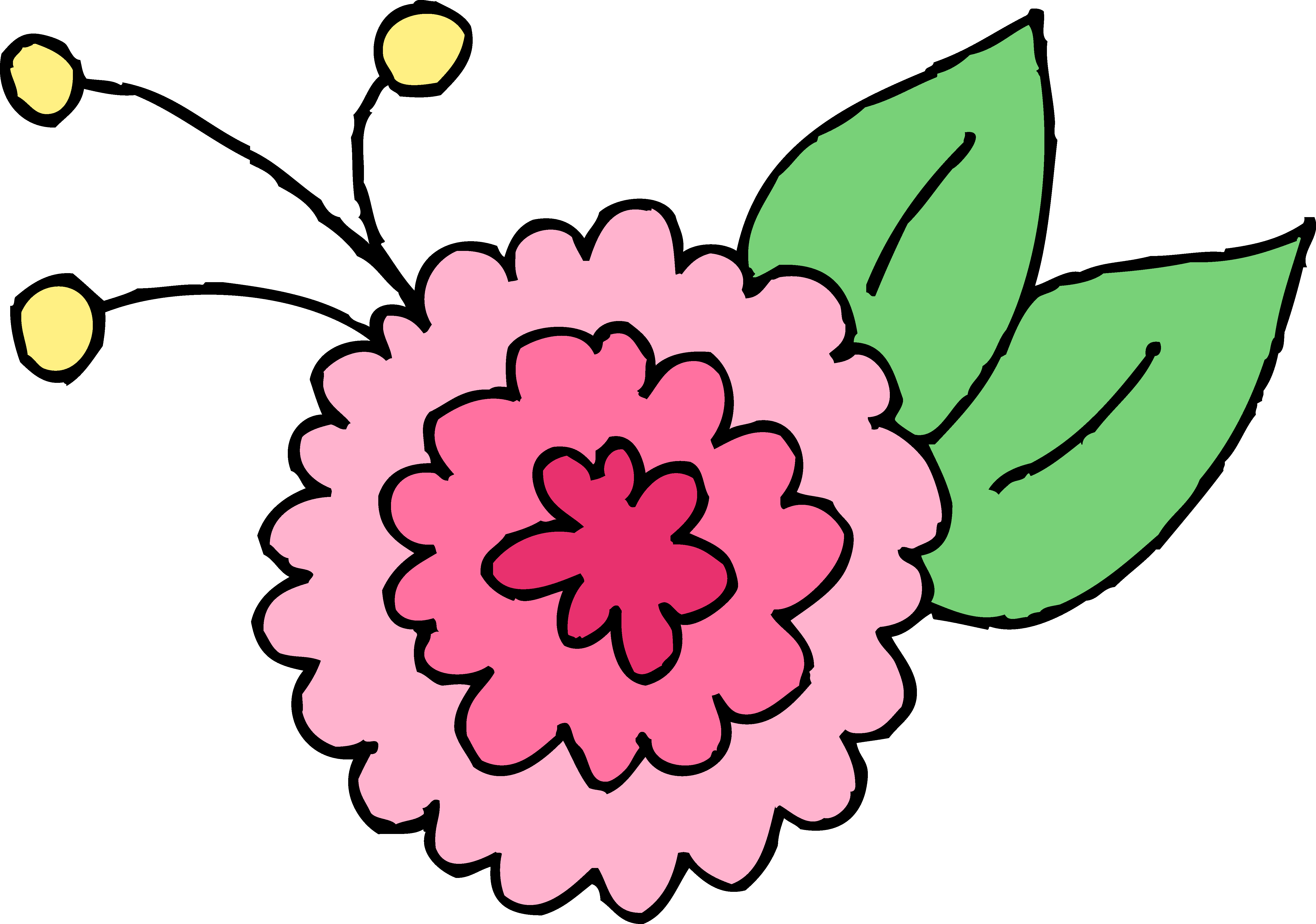 Cute Pink Chrysanthemum Flower - Chrysanthemum Clip Art (5688x3992), Png Download