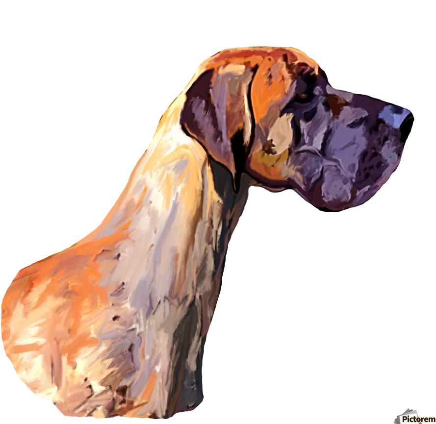 Great Dane Acrylic Print - Art (900x900), Png Download