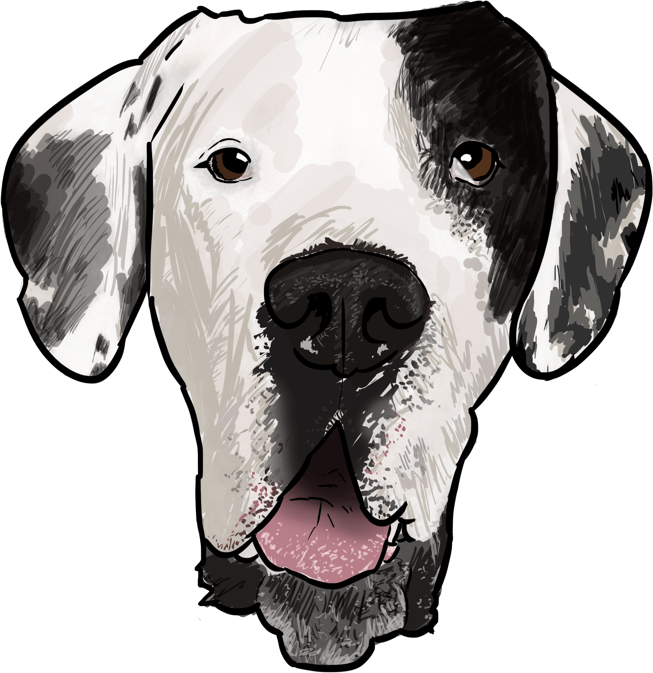 9 Why Are You A Great Dane - Dalmatian (3000x3000), Png Download