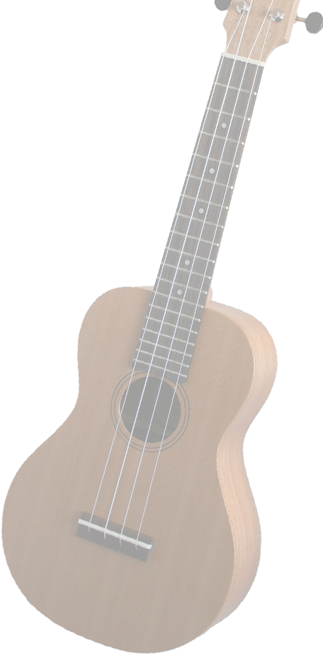Bg Ukulele Opc - Heerbeeck College (456x923), Png Download