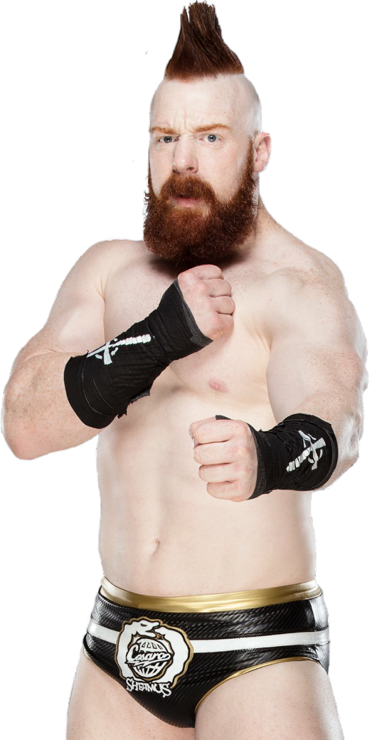 Sheamus Png Picture - Sheamus Png (523x1040), Png Download