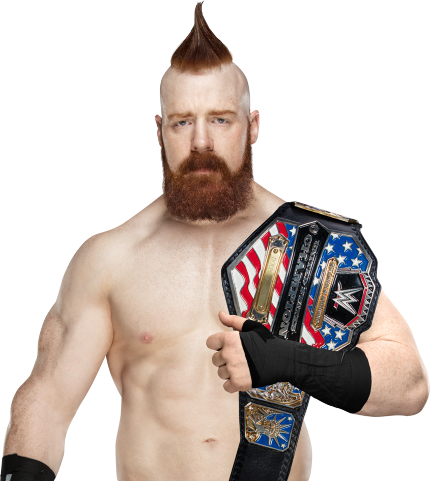 Sheamus Png Download Image - Sheamus Wwe Champion Png (845x946), Png Download