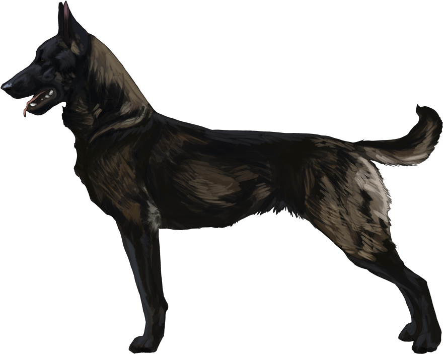 Cutetransparentdogimage - Belgian Malinois Logo (913x788), Png Download