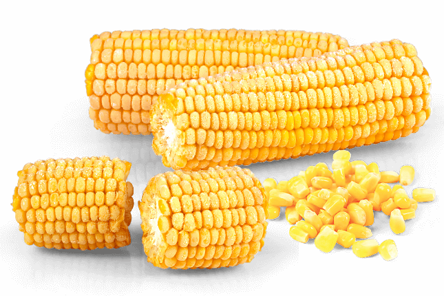 Corn Kernels (645x430), Png Download