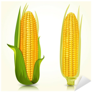 Download Cultivo Maiz Animado Png Png Image With No Background Pngkey Com