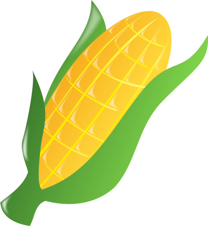 Corn On The Cob Caramel Corn Maize Sweet Corn Popcorn - Corn Clipart Transparent Background (691x750), Png Download