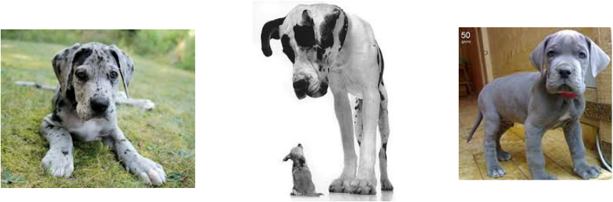 Picture - Afraid To Say What You (874x289), Png Download