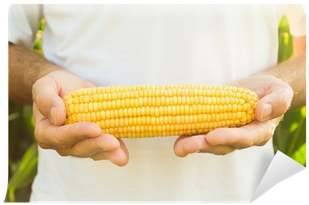 Agriculture (400x400), Png Download