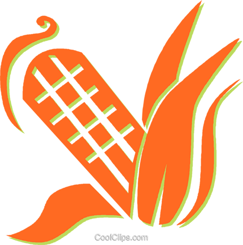 Corn On The Cob Royalty Free Vector Clip Art Illustration - Wapo Taco (476x480), Png Download