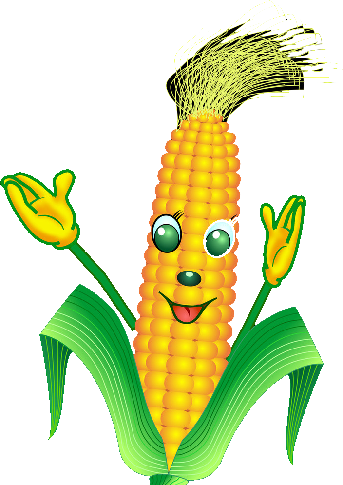 On The Cob Cartoon Transprent Png Free - Maize (704x1024), Png Download