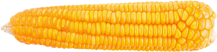Amplify Your Voice For Corn Policy - Corn Kernels (800x291), Png Download