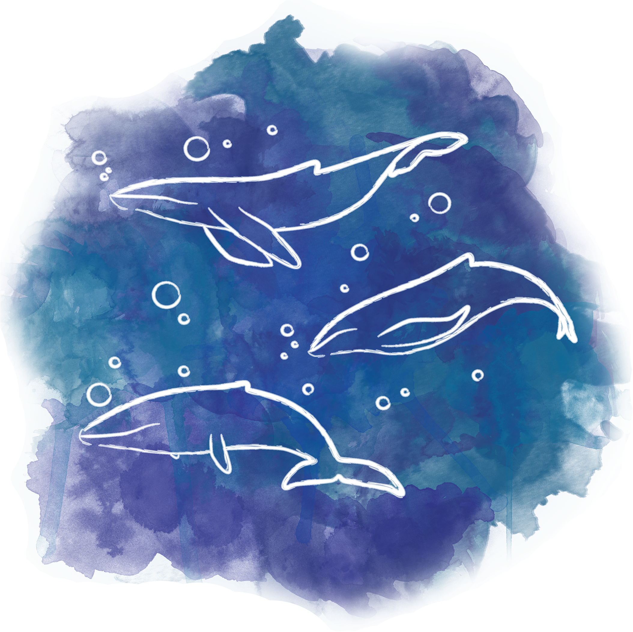 A Graphic Made In Illustrator And Photoshop Of Watercolor - T-shirt (2123x2123), Png Download