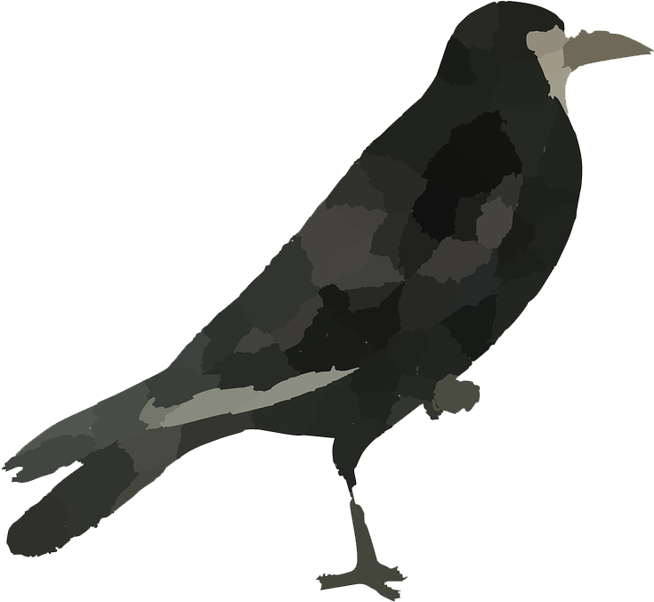 Raven Bird Png Hd - Bird Images Hd Png (777x720), Png Download