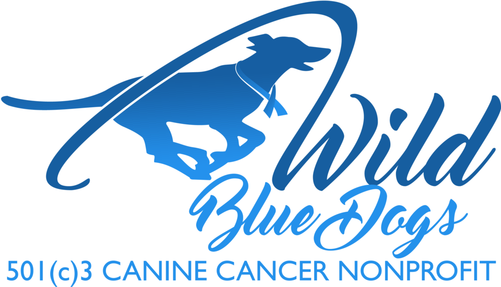 501 3 Logo - Tinkling Of The Bell Before It Rings (1000x564), Png Download