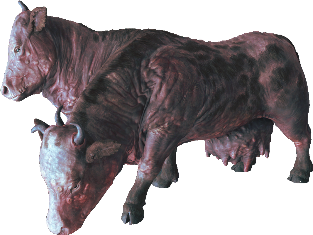 Brahmin - Brahmin Fo4 (1134x864), Png Download