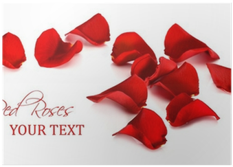 Real Rose Petals Png (400x400), Png Download