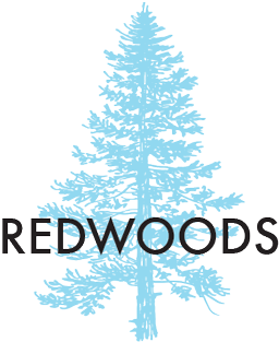 Redwoodtree Engraved - Christmas Tree (400x402), Png Download