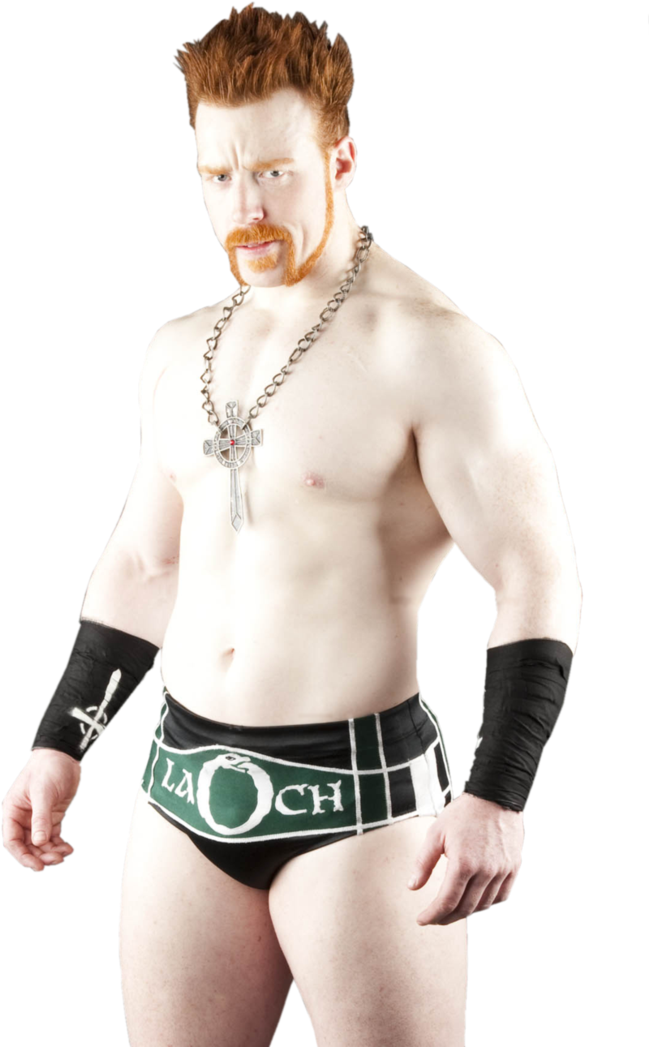 Daniel Biasco Is Sheamus - 2010 Sheamus Photo Wwe (730x1095), Png Download