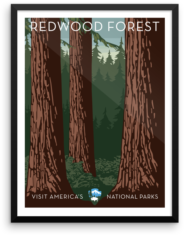 Redwood Forest Print - Yellowstone National Park (1000x1000), Png Download