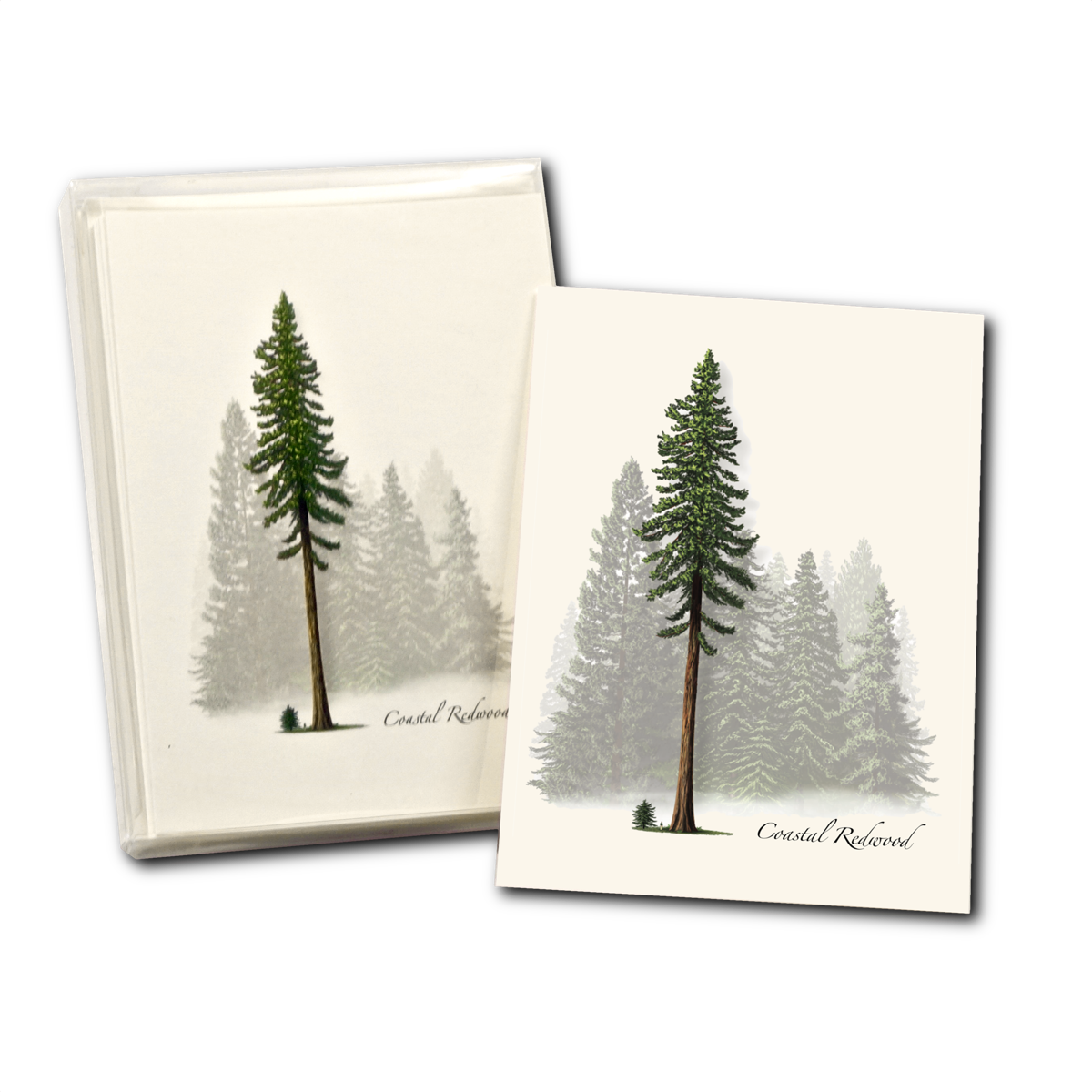 Shopping Cart -  -  (1200x1200), Png Download