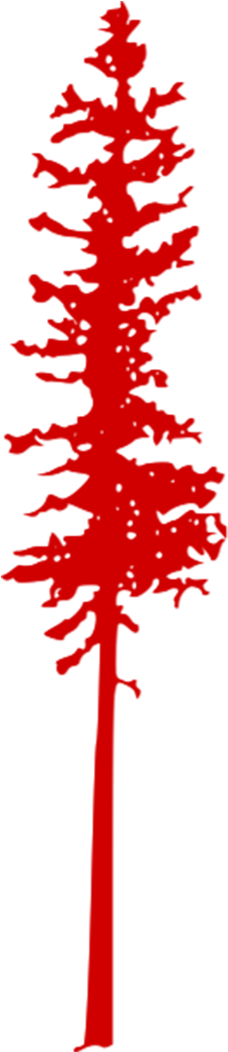 Contact Us - Pine (600x1200), Png Download