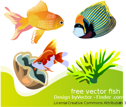 Free Vector Fish - Sea Animal Worksheets In French (565x800), Png Download
